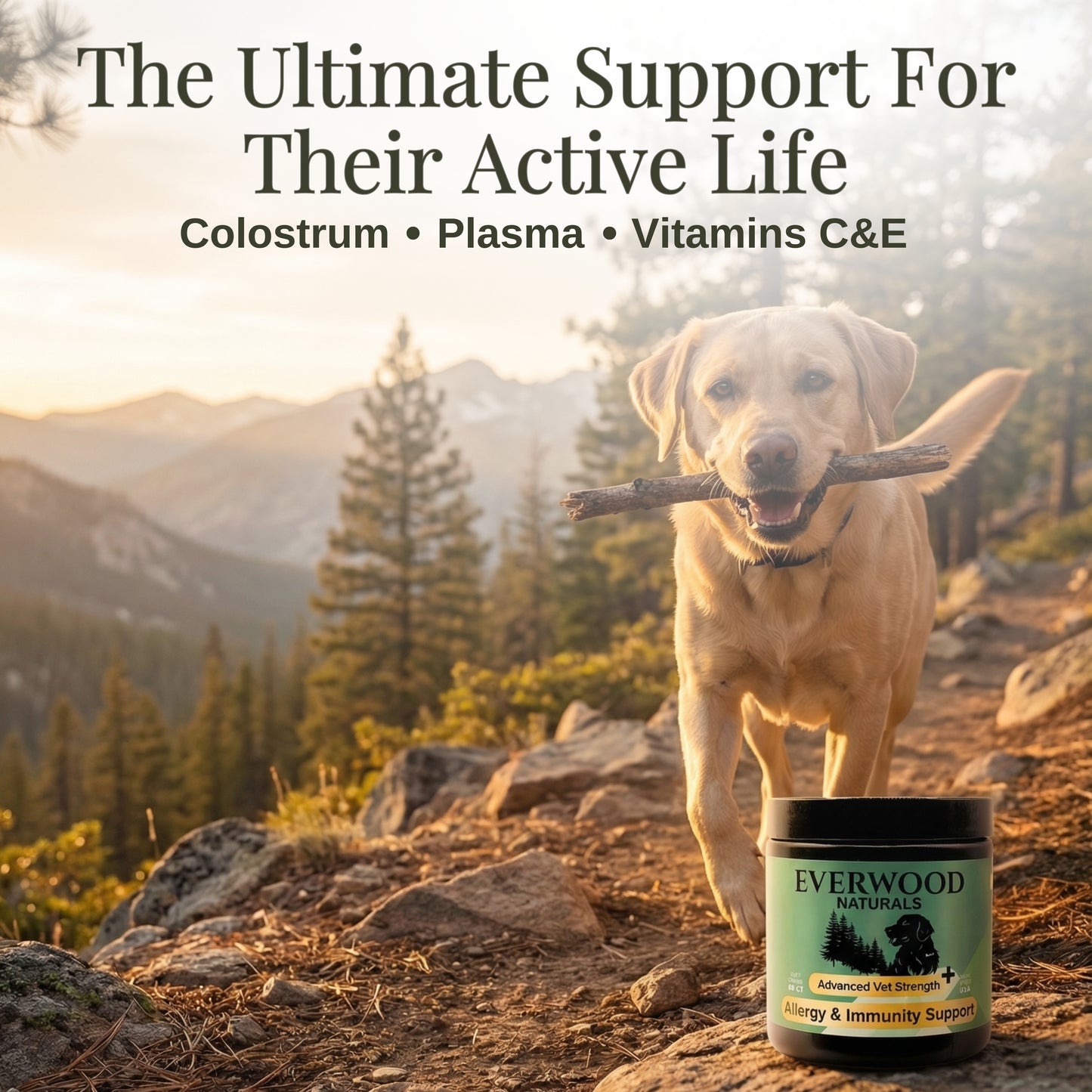 Everwood Naturals Advanced Vet Strength Allergy & Immunity Dog Supplement Chews