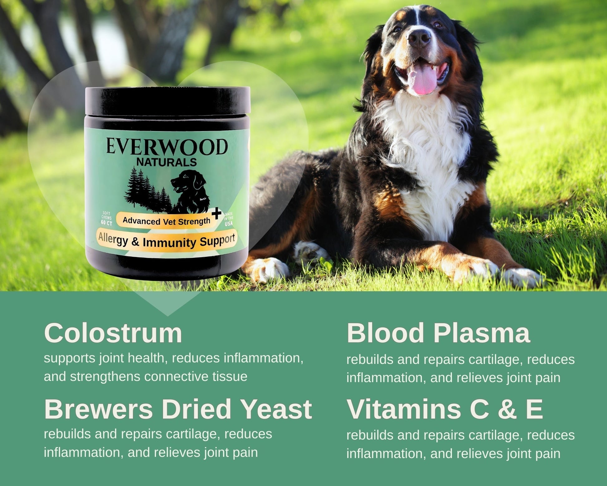 Everwood Naturals Advanced Vet Strength Allergy & Immunity Dog Supplement Chews - Everwood Naturals