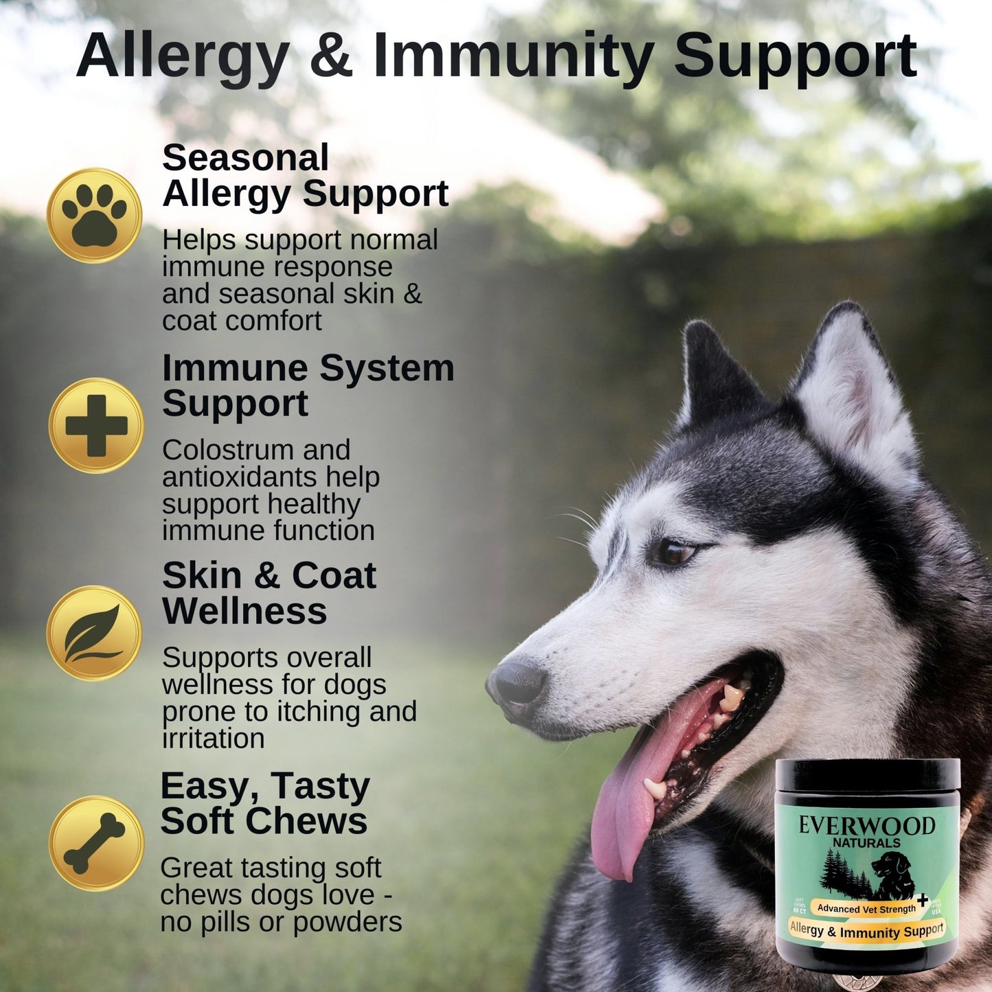 Everwood Naturals Advanced Vet Strength Allergy & Immunity Dog Supplement Chews - Everwood Naturals