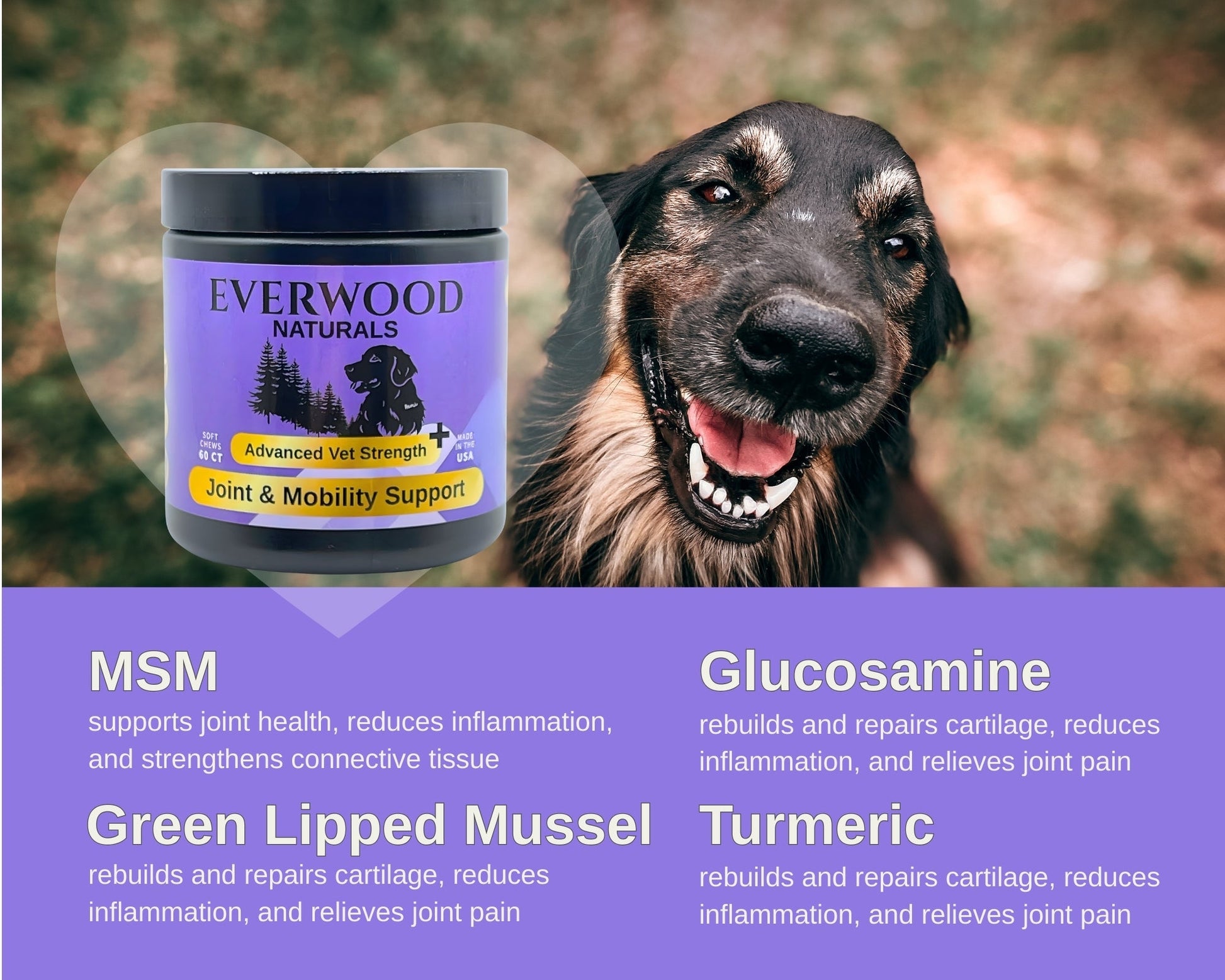 Everwood Naturals Advanced Vet Strength Joint & Mobility Dog Supplement Chews - Everwood Naturals