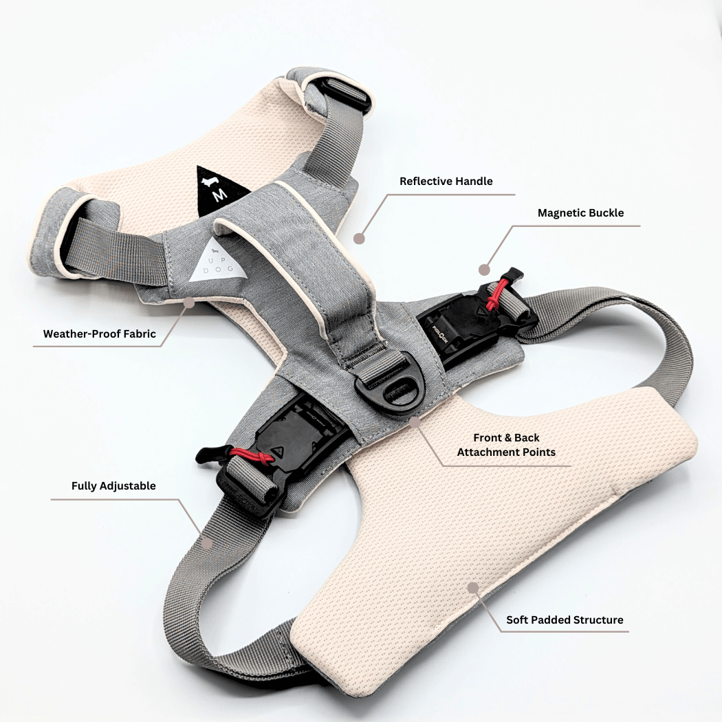 Magnetic Dog Harness - One - Hand Clip, No - Pull Design - Everwood Naturals