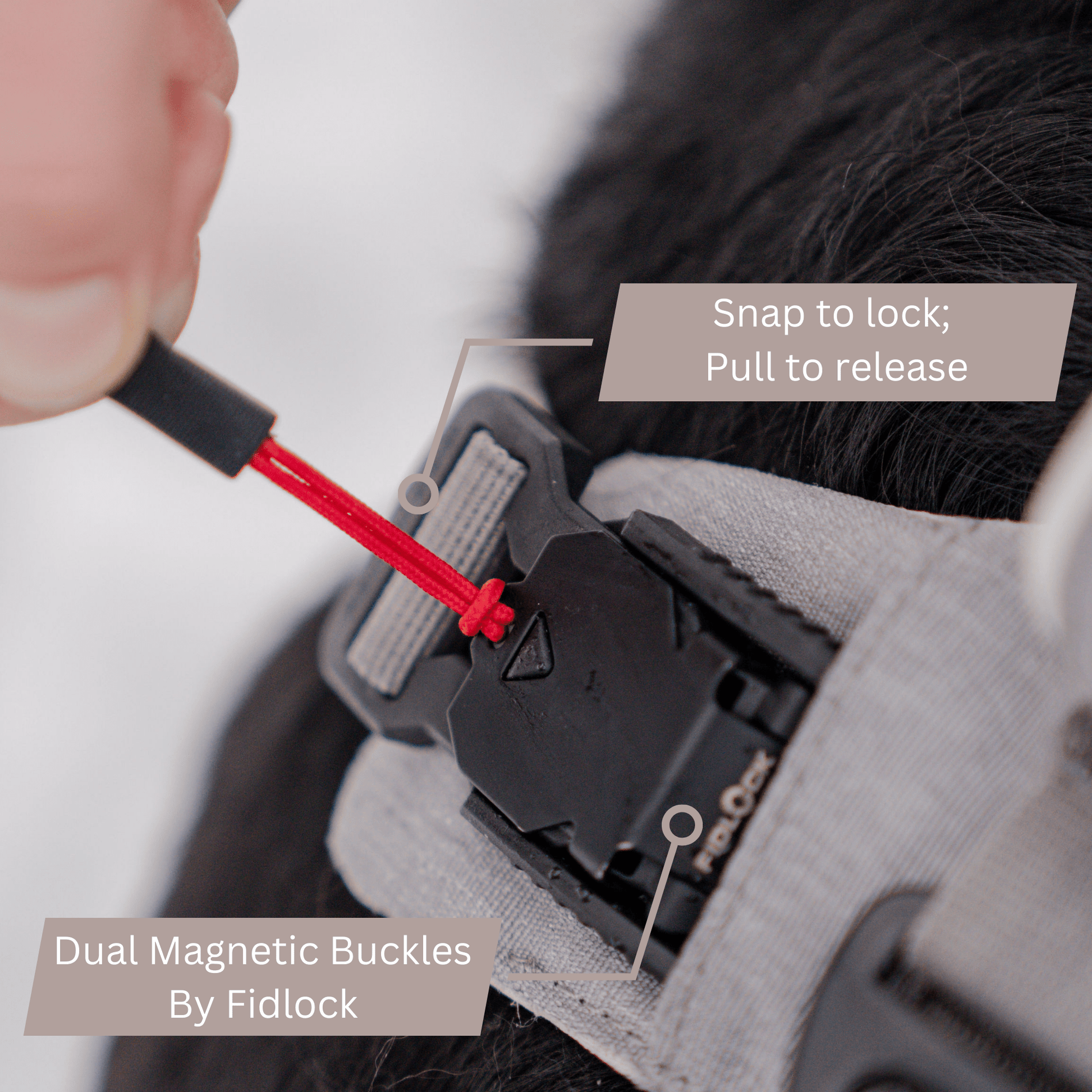 Magnetic Dog Harness - One - Hand Clip, No - Pull Design - Everwood Naturals