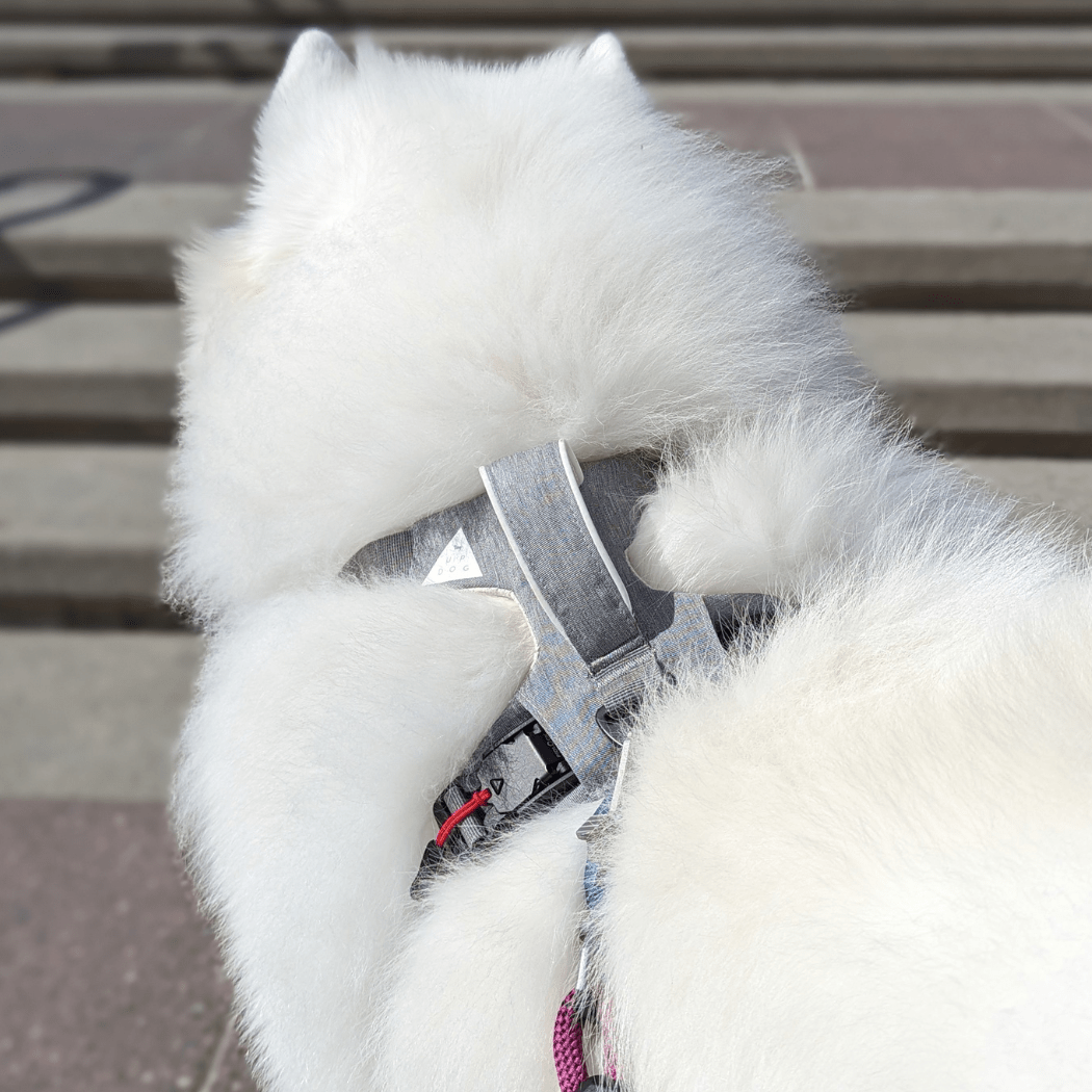 Magnetic Dog Harness - One - Hand Clip, No - Pull Design - Everwood Naturals