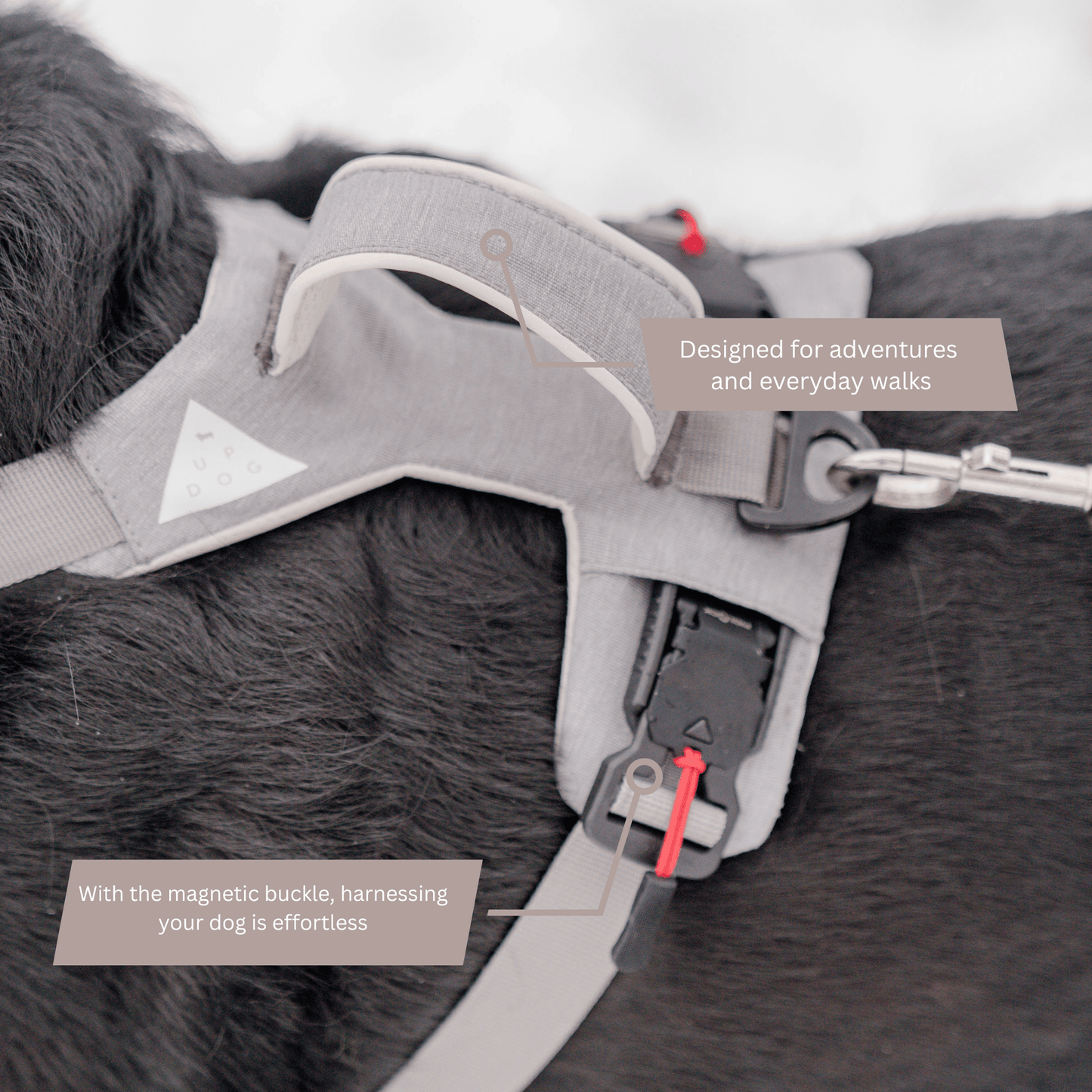 Magnetic Dog Harness - One - Hand Clip, No - Pull Design - Everwood Naturals